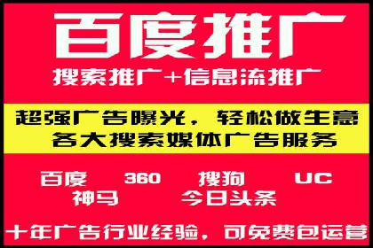 大型SEM服务公司案例分析